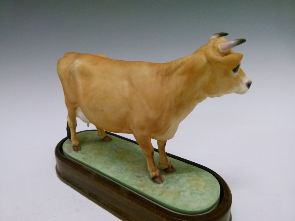 Royal Worcester model 1961 bone china 'Jersey Cow', together with model 1965 'Jersey Bull', both - Image 3 of 13