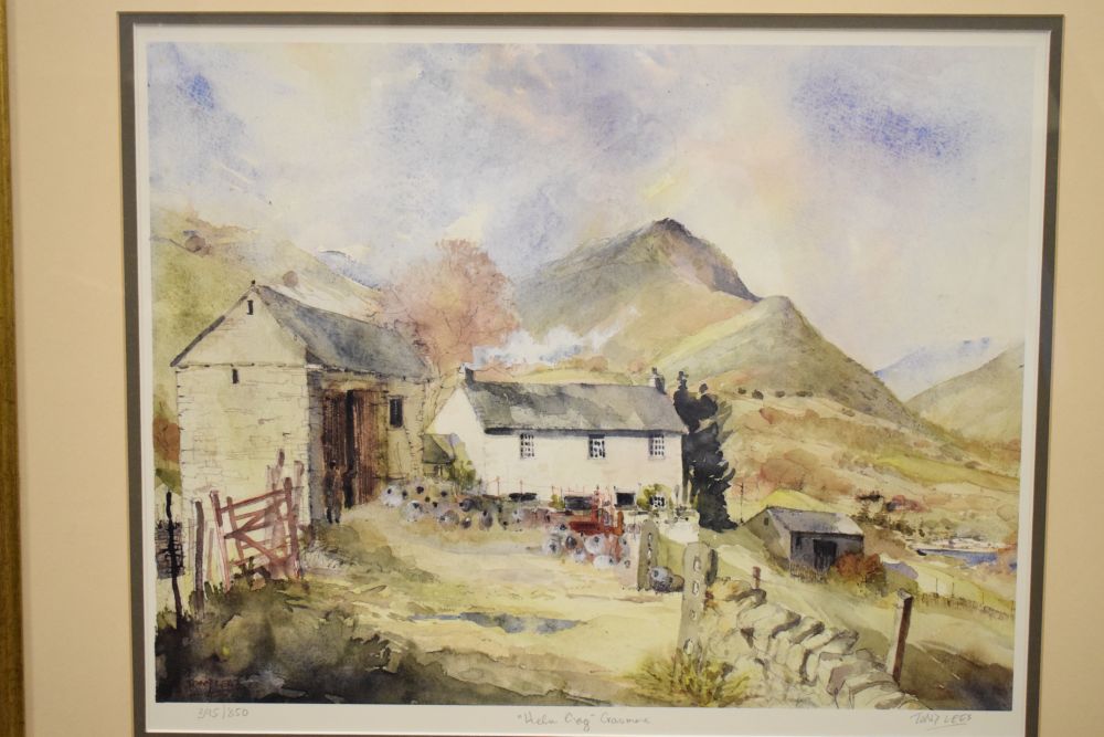 Tony Lees - Pair of limited edition coloured prints - 'Hawkshead' 336/850 and 'Helm Crag, Grassmere' - Image 4 of 7