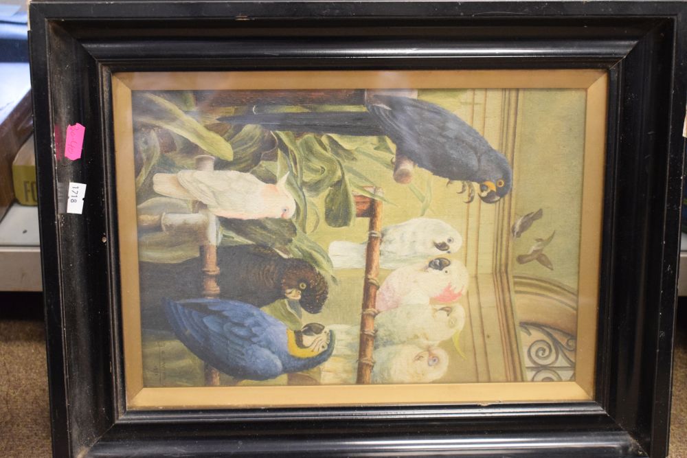 L.E. Davies (early 20th Century) - Oil on canvas - Aviary scene with blue parrots, parakeets, - Image 2 of 9