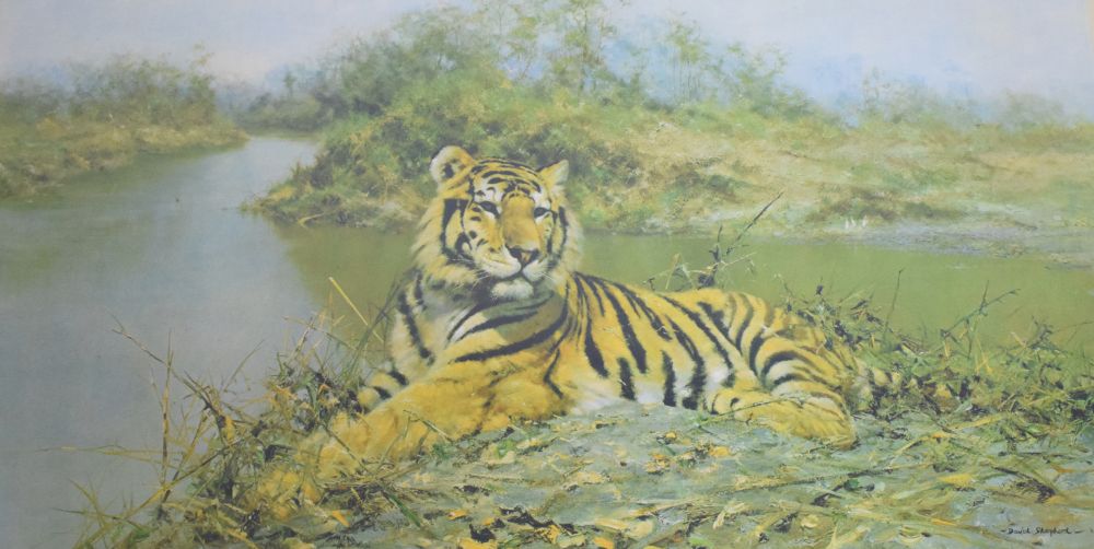 David Shepherd - Signed print - Tiger in the Sun, 50cm x 93cm, framed