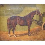 19th Century English School - Oil on canvas - Portrait of a racehorse in stable, unsigned, 24cm x