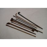 Collection of walking sticks