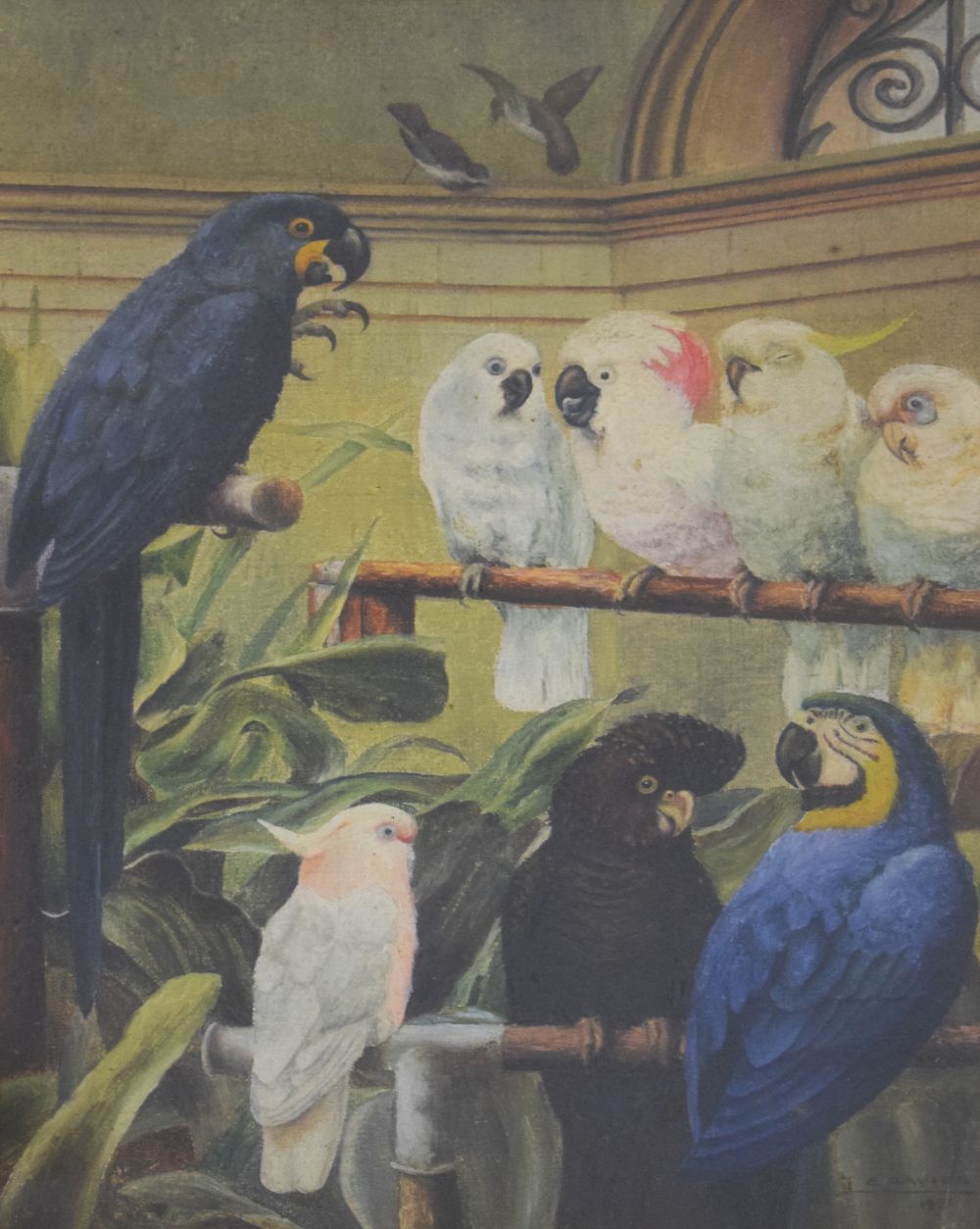 L.E. Davies (early 20th Century) - Oil on canvas - Aviary scene with blue parrots, parakeets,