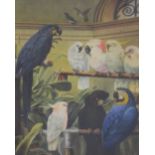 L.E. Davies (early 20th Century) - Oil on canvas - Aviary scene with blue parrots, parakeets,