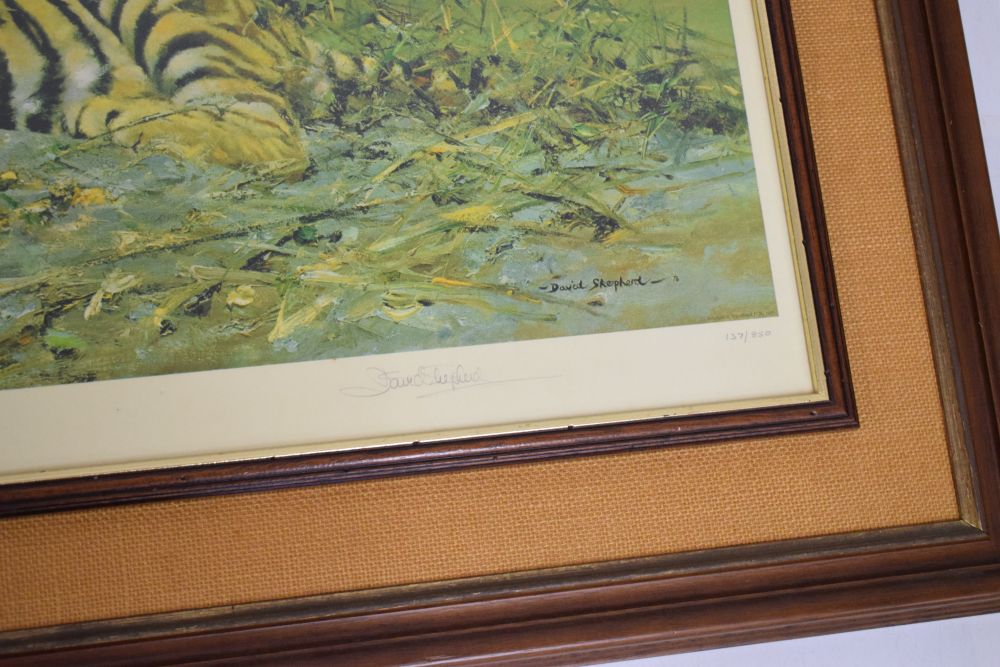 David Shepherd - Signed print - Tiger in the Sun, 50cm x 93cm, framed - Image 4 of 5