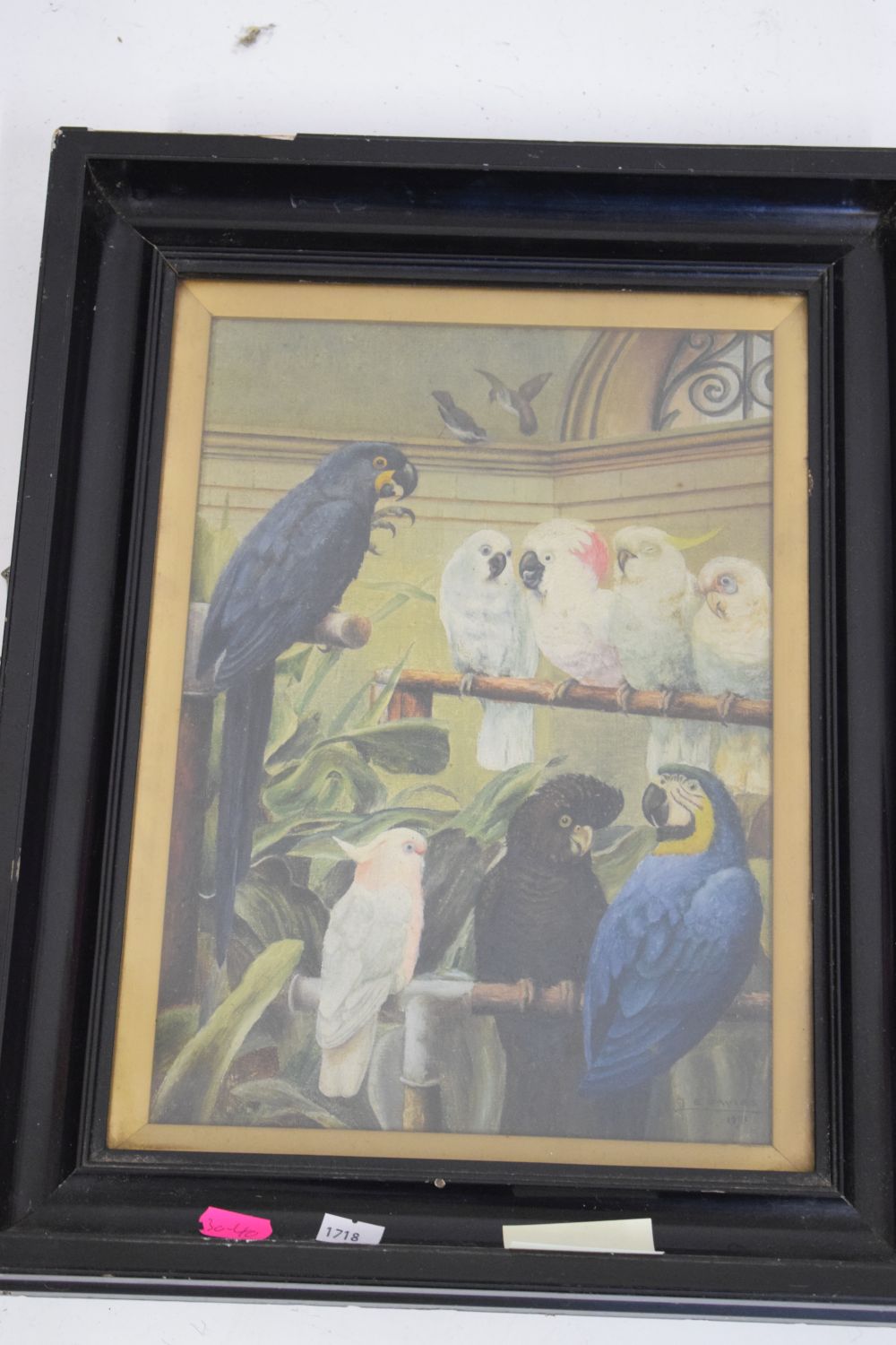L.E. Davies (early 20th Century) - Oil on canvas - Aviary scene with blue parrots, parakeets, - Image 8 of 9