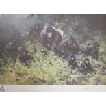 David Shepherd - Signed print - The Mountain Gorillas of Rwanda, 45cm x 68cm, framed and glazed