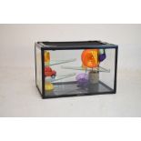 'Critters Choice' small pet glass case, 60cm wide with accessories (no livestock)