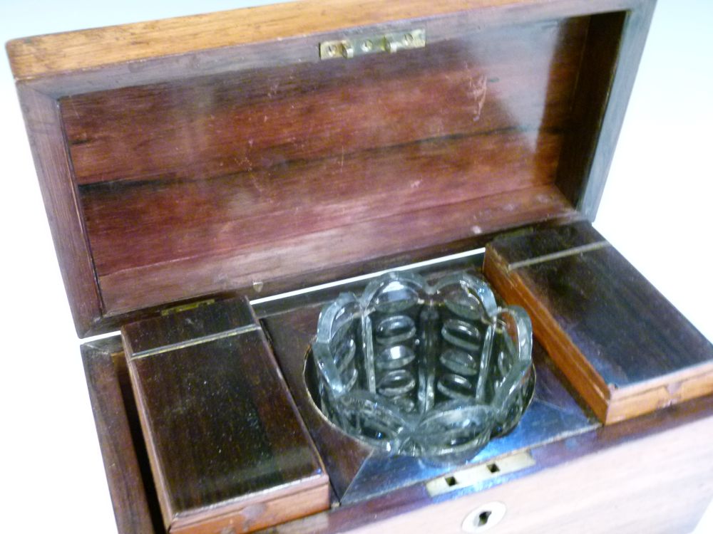 19th Century rosewood sarcophagus tea caddy enclosing two rectangular canisters and glass blending - Image 3 of 6
