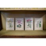 Royal Worcester porcelain - Set of four 'Botanical Studies' plaques, 26cm x 18cm