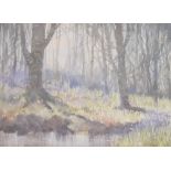 Frank Shipsides - Bristol Savage - Watercolour - 'Where light and shade repose', signed and