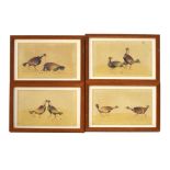 Set of four late 19th/early 20th Century watercolours - Cock Fighting, 14cm x 19.5cm, unsigned,