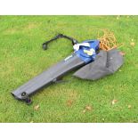 Challenge Xtreme garden leaf blower/vacuum