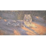 Anthony Gibbs limited edition print - The Great White Tiger, No: 637/1500, signed in pencil, 41.