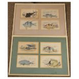 19th Century fishing prints - Eight engraved plates, each approximately 9cm x 15cm, each marked