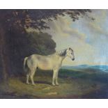 19th Century English School - Oil on canvas - Portrait of a dappled grey horse in a landscape, 49.