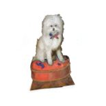Unusual 19th Century painted toleware dummy board in the form of a seated small white dog, perhaps a