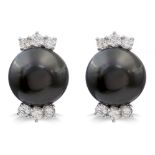 18kt white gold and Tahiti pearl lobe earrings weight 13,9 gr.