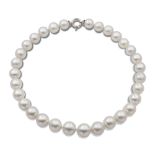 South Sea pearl necklace weight 99 gr.