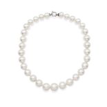 One strand of South Sea pearl necklace weight 127,7 gr.