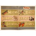Topper Picture Book (1954) The first Topper Book. Large format featuring Birds, Beasts, Reptiles and