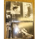 EROTICA collection of 336 different repro photographic cards in sepia of Victorian or Edwardian