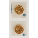 (2) US American Buffalo 2013 One Ounce Gold Coins