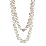 South Sea Pearl Necklace