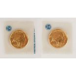 (2) US American Buffalo 2013 One Ounce Gold Coins