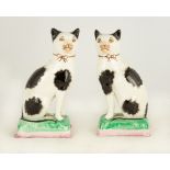 Pair of Staffordshire Cats