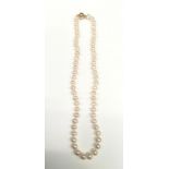 A good cultured pearl necklace with 9ct yellow gold ball clasp.