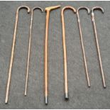 A collection of six vintage walking sticks. some with silver rims.