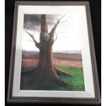 Framed oil on board winter scene of tree, 50x40cm.