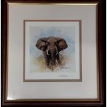 David Shepherd Elephant embossed stamp Limited Edition 617/1000, framed & glazed 32x34cm.