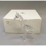Swarovski Crystal: Giraffe baby - Michael Stamey - 013265 - with box.
