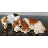 Two Royal Doulton dog figurines: spaniel and terrier.