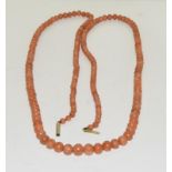 Antique Victorian long un-dyed coral beads 35", 46 grams.