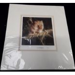 David Shepherd "Harvest Mouse" embossed stamp Limited Edition 21/950 print, with COA - see photo for