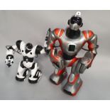 Two Robosapien robots (Ref WP)