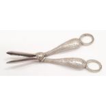 A pair of silver grape scissors.