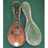 A mandolin in a case.