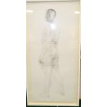 Large framed pencil picture of a nude Man. 140 x 75 cm.