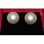 A pair of large fresh water pearl earrings.