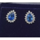 A fine pair of 18ct white gold pear shaped sapphire and diamond earrings of 2cts.