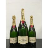 Three Moet champagne display bottles (REF 118).