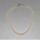A Strand of Graduated Cultured Sea Oyster Pearls with a Diamond Bow Clasp.