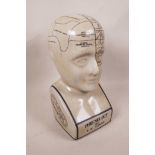 A porcelain phrenology head, 11½" high