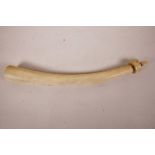 A C19th African hunter's ivory oliphant, 15" long