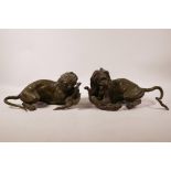 A pair of C19th bronze mounts in the form of a lion and tiger with their kills, 12½" long