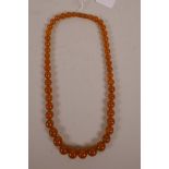 A string of graduated amber style beads, 23" long